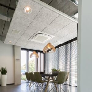 Echo Ceiling