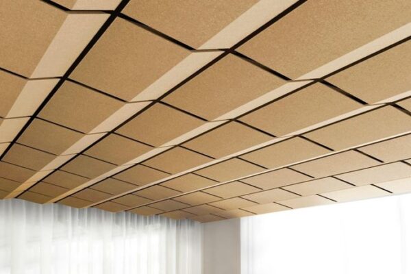 Echo Pattern Ceiling